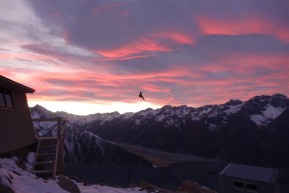 Wrapped up the summer season with one last epic mission up to Ball Pass and Kaitiaki Peak! 🏔️☀️
Bluebird skies, rugged ridgelines, and those unreal views of Aoraki ⛰️🌄 no better way to finish off the alpine trekking season. Thanks to everyone who joined us for the adventure!
Now it’s time to swap hiking boots for skis 🎿❄️ winter’s calling, and the mountains are about to get a fresh layer of magic. See you out there!
📸 @sooji_hopes
#BallPass #AorakiMountCook #AlpineTrek #SouthernAlpsNZ #EndOfSummer #WinterAdventures #BackcountryNZ #GuidedTrek #AlpineRecreation The Best Day Hikes & Walking Trails in Aoraki Mount Cook - Ball Pass Summit Trek - #303