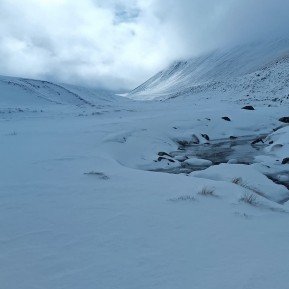 Conditions update from guide @reiseraxel up at Rex Simpson Hut:
🌨️ 20cm of fresh snow overnight, a bit of wind effect here and there, but still great fun cruising around on skinny Nordic skis.
His words of wisdom for the day: “You sure can’t Nordic on Alpine, but no one stops you from Alpine on Nordic!” 🤣⛷️
Sounds like they’re having fun up there!
#NordicSkiing #SkinnySkiing #SkiTouringNZ #RexSimpsonHut #TwoThumbRange #LakeTekapo #AlpineRecreation #FreshSnow #BackcountrySkiing #WinterFun #NZMGA #GuidesLife - Conditions update from guide @reiseraxel up at Rex Simpson Hut: 🌨️ 20cm of fresh snow overnight, a bit of wind effect here and there, but still great fun cruising around on skinny Nordic skis. 6