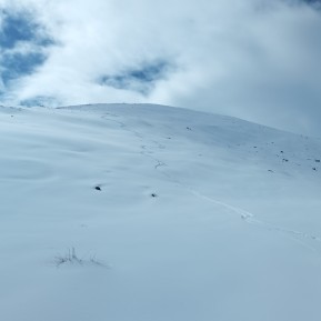 Conditions update from guide @reiseraxel up at Rex Simpson Hut:
🌨️ 20cm of fresh snow overnight, a bit of wind effect here and there, but still great fun cruising around on skinny Nordic skis.
His words of wisdom for the day: “You sure can’t Nordic on Alpine, but no one stops you from Alpine on Nordic!” 🤣⛷️
Sounds like they’re having fun up there!
#NordicSkiing #SkinnySkiing #SkiTouringNZ #RexSimpsonHut #TwoThumbRange #LakeTekapo #AlpineRecreation #FreshSnow #BackcountrySkiing #WinterFun #NZMGA #GuidesLife - Conditions update from guide @reiseraxel up at Rex Simpson Hut: 🌨️ 20cm of fresh snow overnight, a bit of wind effect here and there, but still great fun cruising around on skinny Nordic skis. 2