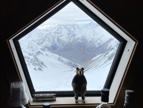 Last week was one for the books in the Cass Valley 🙌
⛷️🏂 From powder laps and corn harvesting out of Lady Emily Hut to big lines around Falcon’s Nest, with the obligatory pilgrimage to the “Bad Decision” (aka Whisky Hut 🥃) — this trip had it all. Even the keas were in on the game.
Perfect weather, amazing terrain, and an even better crew. We managed to sneak in the adventure before the storm rolled in — nothing like escaping just as the mountains turn wild again.
Good snow, good whisky, great company. That’s the Cass Valley way.
📸 @simon.c.cox
#SkiTouringNZ #SplitboardingNZ #CassValley #CassValleySkiTouring #LadyEmilyHut #FalconsNestHut #WhiskyHut #RealBackcountry #BackcountryAdventures #TekapoAdventures #SouthernAlpsNZ #AlpineRecreation #NZmustdo #PowderHunting #EarnYourTurns #SkiUphill #Freeride #GuidesLife #NZMGA - Last week was one for the books in the Cass Valley 🙌 ⛷️🏂 From powder laps and corn harvesting out of Lady Emily Hut to big lines around Falcon’s Nest, with the obligatory pilgrimage to the “Bad Decision” (aka Whisky Hut 🥃) — this trip had it all. 8