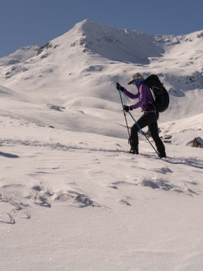 Looking back at August…
Fun adventures touring on Nordic skis out of Rex Simpson Hut in the Two Thumb Range 🎿✨
From gliding across snowy basins to climbing towards Stag Saddle, the days were full of exploring and chasing big Mackenzie views.
Evenings at the hut brought plenty of laughs and stories. Guide Simon even whipped up some backcountry Eggs Benedict — now that’s a brunch to fuel adventures 🥚🍳👌
📸 A. McIntosh
#NordicSkiing #CrossCountrySkiing #TwoThumbRange #RexSimpsonHut #StagSaddle #LakeTekapo #BigSkyCountry #TekapoAdventures #MackenzieNZ #WinterAdventures #SkiTouringNZ #AlpineRecreation - Looking back at August… Fun adventures touring on Nordic skis out of Rex Simpson Hut in the Two Thumb Range 🎿✨ From gliding across snowy basins to climbing towards Stag Saddle, the days were full of exploring and chasing big Mackenzie views. 3