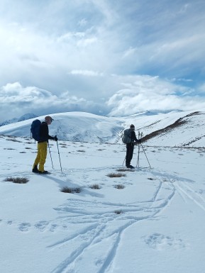 Yesterday we managed to sneak in a sweet day tour on Nordic skis before the southerly storm hit.
Perfect timing — this morning Rex Simpson Hut is reporting 20cm of fresh snow overnight! ❄️⛷️
Watch this space… once the cloud clears, we’ll be heading back up for some incredible skiing and can give a better conditions update. 🌨️🏔️
📸 @reiseraxel
#NordicSkiing #SkiTouringNZ #TwoThumbRange #RexSimpsonHut #LakeTekapo #AlpineRecreation #TekapoAdventures #FreshSnow #WinterMagic #BackcountrySkiing #SkiTouring #SnowStorm #NZMGA #GuideLife - Yesterday we managed to sneak in a sweet day tour on Nordic skis before the southerly storm hit. 1