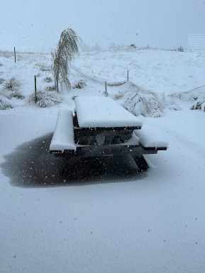 It’s meant to be spring… and just like that, we’re straight back to winter. ❄️
We were meant to fly into O’Leary’s Hut this morning, but the weather had other ideas. Heavy snow around Tekapo ruled out any chance of a flight, so we switched gears and made the most of a day closer to town.
With the focus on skills, we worked through rope systems and crevasse rescue techniques. Once the snow eased and the clouds lifted, we headed outside to a completely transformed Tekapo landscape — everything was white!
A lap on the cross-country skis, a refresher on avalanche beacon searches and some prussicking practice rounded out a fun and productive day.
Fresh snow is on the ground and we’re looking forward to putting it to good use tomorrow. 🎿❄️
📷 @elke_mountain_guide
#SkiTouring #BackcountrySkiing #TekapoSnow #SpringSkiing #WinterIsNotOver - It’s meant to be spring… and just like that, we’re straight back to winter. 4