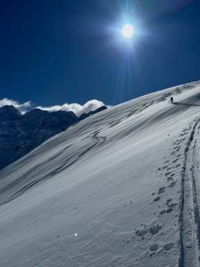 A pretty special week ski touring on the glaciers. ❄️⛷️
We scored a good run of weather and made the most of it — from the Murchison Headwall and Mannering Glacier to the Darwin Bowls and the shoulder of Hochstetter Dome, where we stopped for a snack with views all the way out towards the West Coast and Tasman Sea.
We skied through the incredible ice formations of Canyonlands, toured up the Bonney Glacier to Turnbull Saddle for lunch with the Minarets spread out in front of us, and found sheltered corners amongst the ice to escape the wind.
There was good skiing to be found too — picking our way through pockets of powder and making the most of some beautifully creamy spring corn.
A happy hut day in the middle gave us a chance to rest the legs, brush up on crevasse rescue skills and team up with fellow IFMGA guide Petrouchka and her group.
All up, a fantastic week in an extraordinary place. Big mountains, glaciers, great company and plenty of turns. 🏔️
🔗 https://alpinerecreation.com/new-zealand-backcountry-skiing-and-split-boarding/new-zealands-best-glacier-touring-and-ski-mountaineering/ski-mount-cook-and-westland-glaciers
📷 @elke_mountain_guide
#SkiMountaineering #GlacierSkiing #SkiTouring #BackcountrySkiing #AorakiMountCookNatinalPark - A pretty special week ski touring on the glaciers. 19