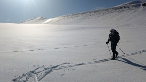 Last week’s Nordic ski touring adventure in the Two Thumb Range delivered the goods 🙌
Blue skies, crisp snow, and endless ridgeline cruising with Lake Tekapo sparkling below. Hard to beat days like these — perfect conditions for long glides and big views. ❄️⛷️✨
📸 @owen.climb.ride.fly
#TwoThumbRange #NordicSkiing #LakeTekapo #RexSimpsonHut #CrossCountrySkiing #TekapoAdventures #SkiTekapo #BackcountryNZ #AlpineRecreation #SkiTouringNZ #SouthernAlps #GuidesLife - Last week’s Nordic ski touring adventure in the Two Thumb Range delivered the goods 🙌 Blue skies, crisp snow, and endless ridgeline cruising with Lake Tekapo sparkling below. 6