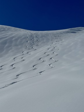 A pretty special week ski touring on the glaciers. ❄️⛷️
We scored a good run of weather and made the most of it — from the Murchison Headwall and Mannering Glacier to the Darwin Bowls and the shoulder of Hochstetter Dome, where we stopped for a snack with views all the way out towards the West Coast and Tasman Sea.
We skied through the incredible ice formations of Canyonlands, toured up the Bonney Glacier to Turnbull Saddle for lunch with the Minarets spread out in front of us, and found sheltered corners amongst the ice to escape the wind.
There was good skiing to be found too — picking our way through pockets of powder and making the most of some beautifully creamy spring corn.
A happy hut day in the middle gave us a chance to rest the legs, brush up on crevasse rescue skills and team up with fellow IFMGA guide Petrouchka and her group.
All up, a fantastic week in an extraordinary place. Big mountains, glaciers, great company and plenty of turns. 🏔️
🔗 https://alpinerecreation.com/new-zealand-backcountry-skiing-and-split-boarding/new-zealands-best-glacier-touring-and-ski-mountaineering/ski-mount-cook-and-westland-glaciers
📷 @elke_mountain_guide
#SkiMountaineering #GlacierSkiing #SkiTouring #BackcountrySkiing #AorakiMountCookNatinalPark - A pretty special week ski touring on the glaciers. 3