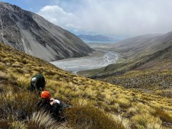When the weather was too bad for Plan A of crossing Ball Pass… a pretty good Plan B turned out to be a traverse of the Gamack Range - up Waterfall Stream to O’Leary’s Hut (yes, it has a hot tub!), over a high pass to Falcon’s Nest Hut and out via Tin Hut.
🔗 https://alpinerecreation.com/tekapo-hut-to-hut-trek.html
Thanks Glenmore Station @explorecassvalley for making this work 🙌
📸 @g.geerling
#alpinehiking #alpinecrossing #tekapohuttohut #mountainjourneys #tekapoadventures #alpinetrek #huttohut #gamackrange #hiketekapo #tekapotrek #mountaineering #nzmga #mountainguide #hikingguide #southernalps #newzealandmountains #nzweather - Lake Tekapo Alpine Hikes & Treks - #189