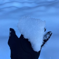 Delicate, beautiful — and dangerous.
This glittering layer of surface hoar formed overnight on the recent snowfall in Tekapo. It’s essentially frost crystals that grow when clear, cold, and calm conditions allow moisture from the air to deposit directly onto the snow surface. Think of it like dew forming as ice.
The problem? If this layer gets buried by new snow, it can create a persistent weak layer deep in the snowpack. Once hidden, it’s nearly impossible to spot, but can lead to sudden, wide-propagating avalanches under the right conditions.
While this is unlikely to be a problem in Tekapo Village as the snow will melt away, higher up in the Two Thumb Range, some of this early snowfall may persist on shady slopes. Something to remember as we head into winter - snow in May doesn’t always melt away…
What looks like magic can become a serious hazard in the backcountry. Always check the avalanche bulletin, and if you’re unsure, don’t go.
Keen to learn more? Sign up to one of our Avalanche Skills Courses.
👉 https://alpinerecreation.com/new-zealand-backcountry-skiing-and-split-boarding/backcountry-skills-and-avalanche-courses/msc-avalanche-skills-course-2
📸 @elke_mountain_guide
#SurfaceHoar #AvalancheAwareness #BackcountrySafety #SnowScience #MountainConditions #KnowBeforeYouGo #LakeTekapo
@nzavalancheadvisory @nzmga Backcountry Skills & Avalanche Courses - MSC Avalanche Skills Course 1 - #300