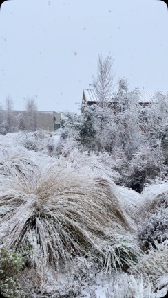 Snow Day in Tekapo today… the snow dance worked ❄️💃🏼🤙
#SnowDay #LetItSnow #WinterIsHere #TekapoSnow #WinterAdventures #LakeTekapo - New Zealand Winter Mountain Adventures - #327