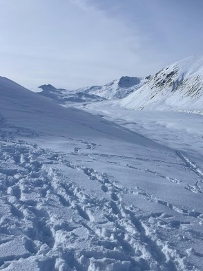 A magic day out in the Two Thumb Range today ☀️🏔️
High above the thick inversion cloud in a world of sunshine, snow and stunning views. Always a treat to spend the day in the high country — and even better knowing the warm, cosy comfort of Rex Simpson Hut is waiting for us at the end.
Cracking winter conditions up here at the moment! ❄️🔥
📸 S. Ball
#twothumbrange #rexsimpsonhut #backcountrynz #snowday #mountainscenes #wintermagic #snowshoeing #wintermountaineering #skitouring #backcountryskiing #laketekapo #alpinerecreation Aoraki Mt. Cook Adventures - Winter Mountaineering Course - #329