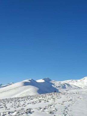 Post storm in the Two Thumbs… a nice little top up and great conditions for our snowshoe trip ❄️😊
📸 D. Henley
#Snowshoeing #SnowshoeAdventures #FreshSnow #FirstTracks #TwoThumbRange #RexSimpsonHut #WinterAdventures #TekapoAdventures #HikeTekapo #AlpineRecreation - Lake Tekapo Alpine Hikes & Treks - #369