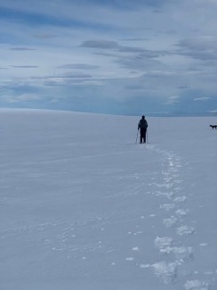 Snowshoeing adventures in the Two Thumb Range last week ❄️🌤️
We made the most of the gaps in spring weather with little top-ups of fresh snow, and Rex Simpson Hut was the perfect cosy base to come back to each evening. 
📸 P. Munro
#TwoThumbRange #SnowshoeingNZ #RexSimpsonHut #LakeTekapo #TekapoAdventures #AlpineRecreation  - Lake Tekapo Backcountry Adventures - #372
