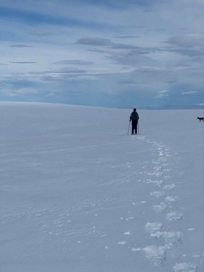Snowshoeing adventures in the Two Thumb Range last week ❄️🌤️
We made the most of the gaps in spring weather with little top-ups of fresh snow, and Rex Simpson Hut was the perfect cosy base to come back to each evening.
📸 P. Munro
#TwoThumbRange #SnowshoeingNZ #RexSimpsonHut #LakeTekapo #TekapoAdventures #AlpineRecreation Two Thumb Range Adventures - Rex Simpson Hut - #372